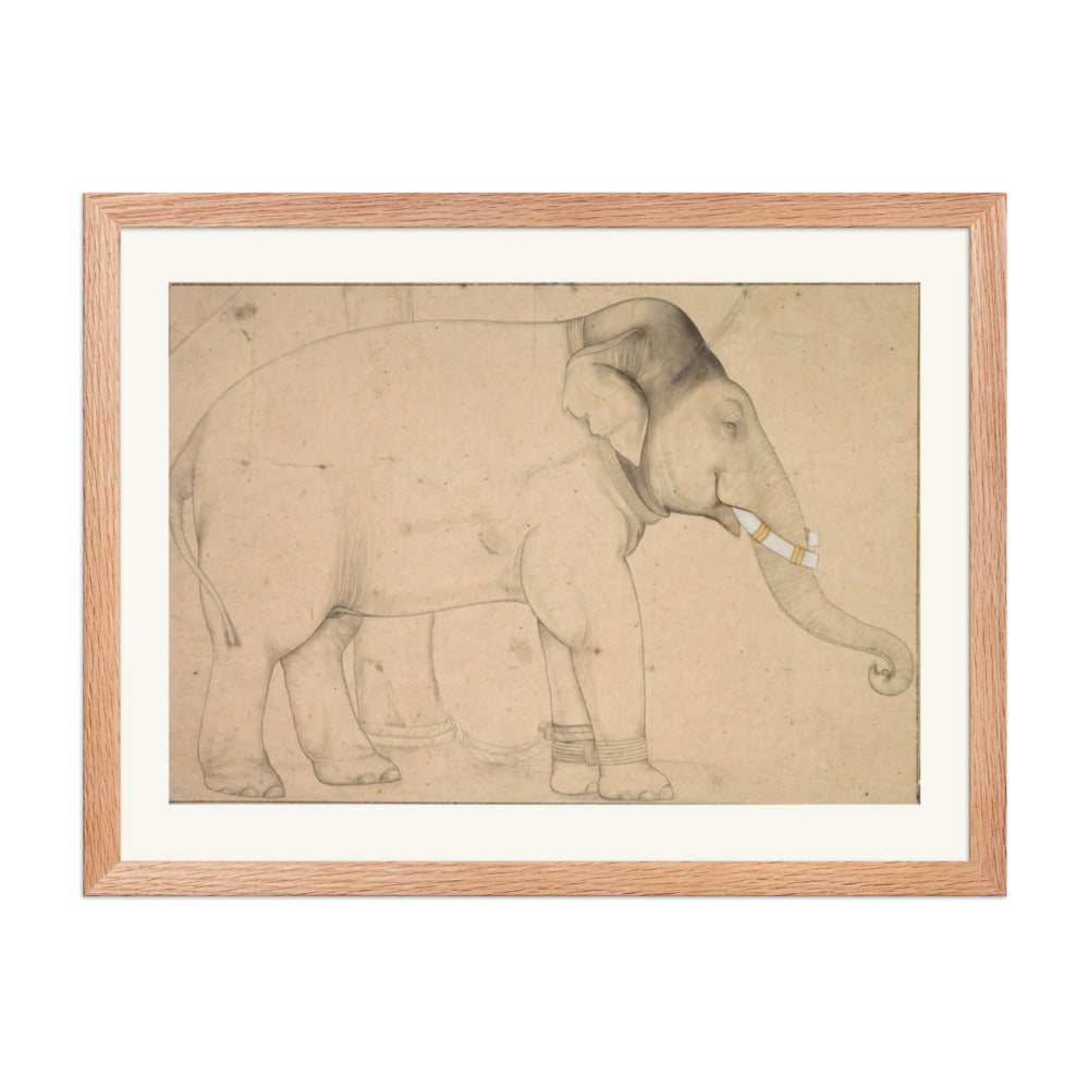 Drawing of an Elephant — view 2