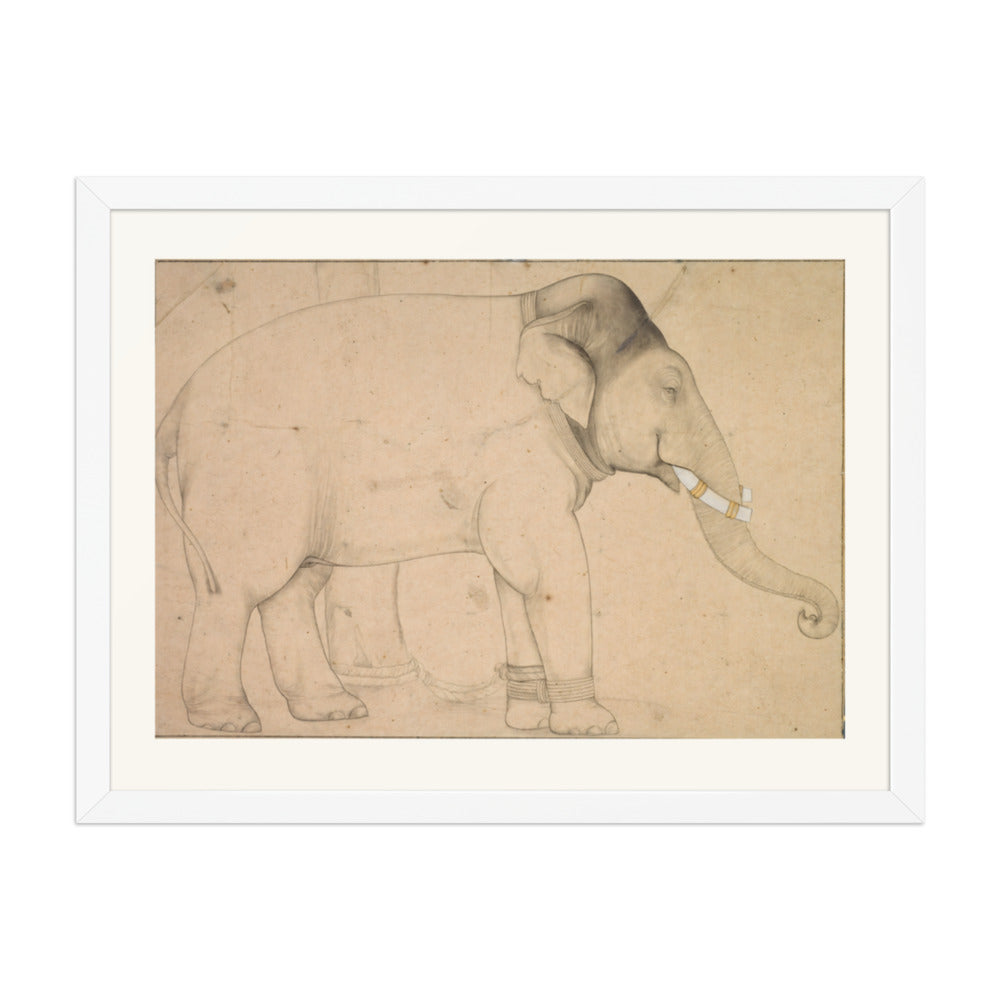 Drawing of an Elephant — view 3