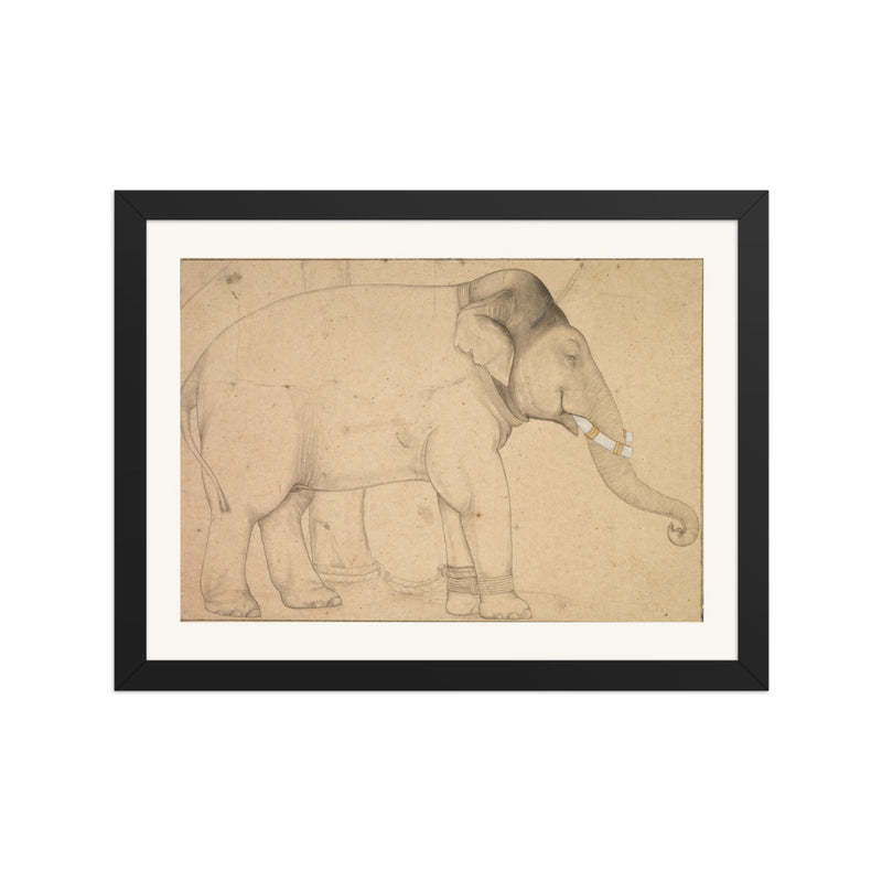 Drawing of an Elephant