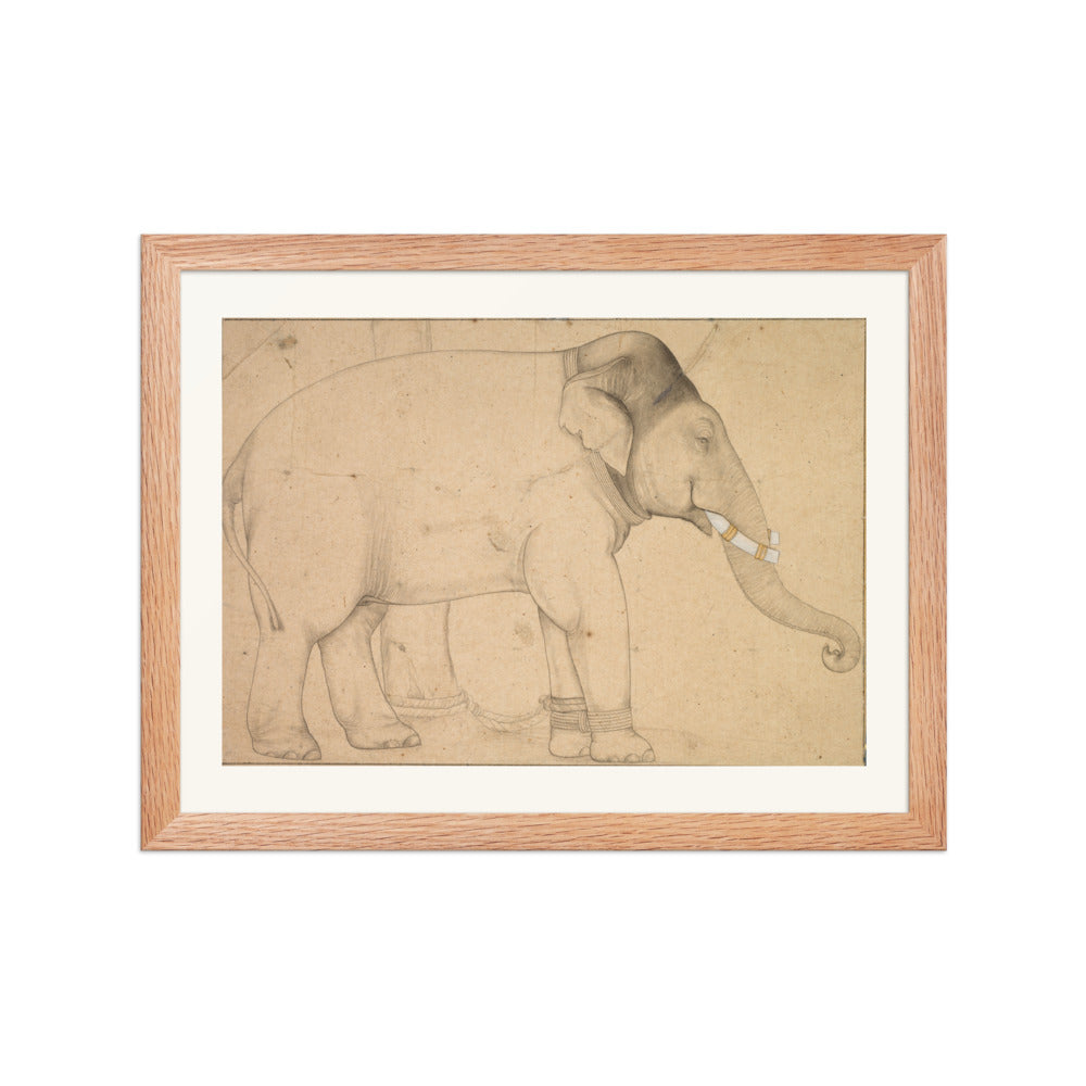 Drawing of an Elephant — view 2