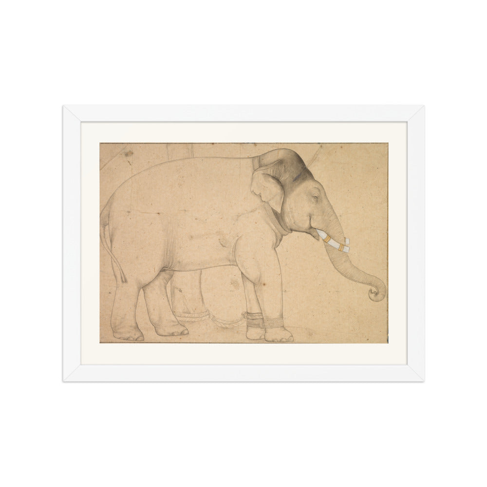 Drawing of an Elephant — view 3
