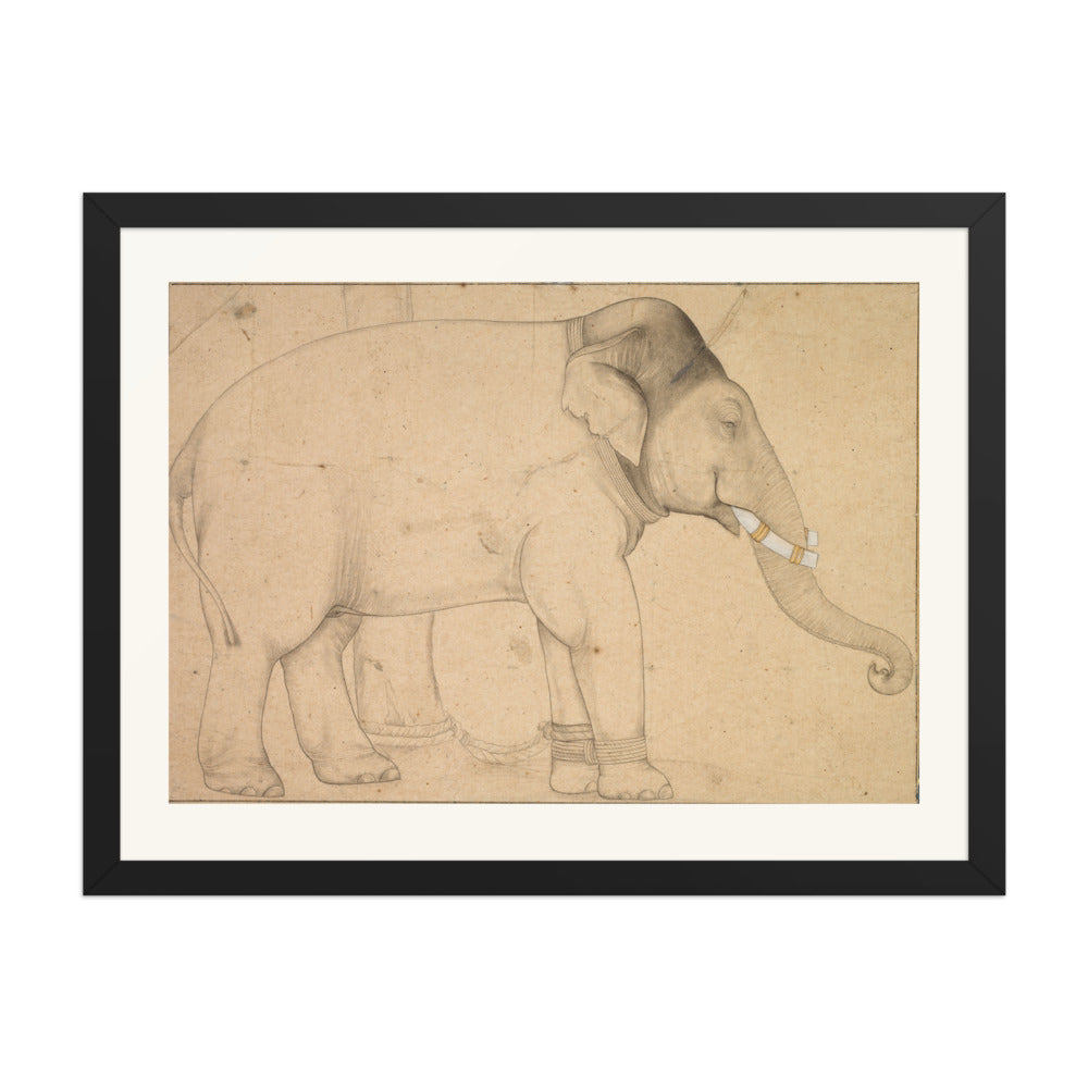 Drawing of an Elephant — view 4