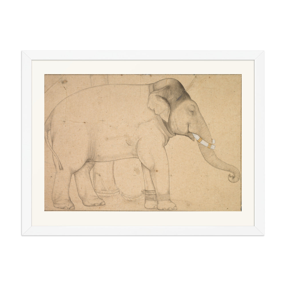 Drawing of an Elephant — view 6
