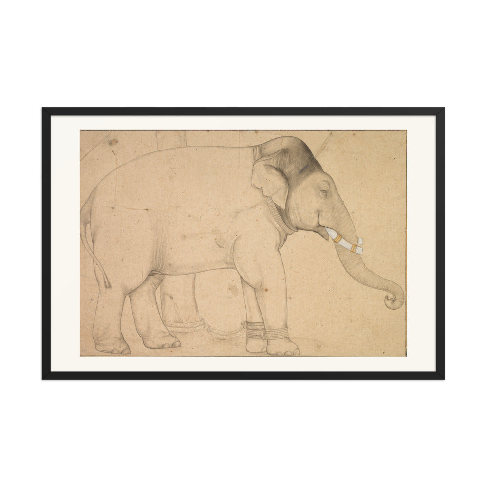 Drawing of an Elephant — view 7
