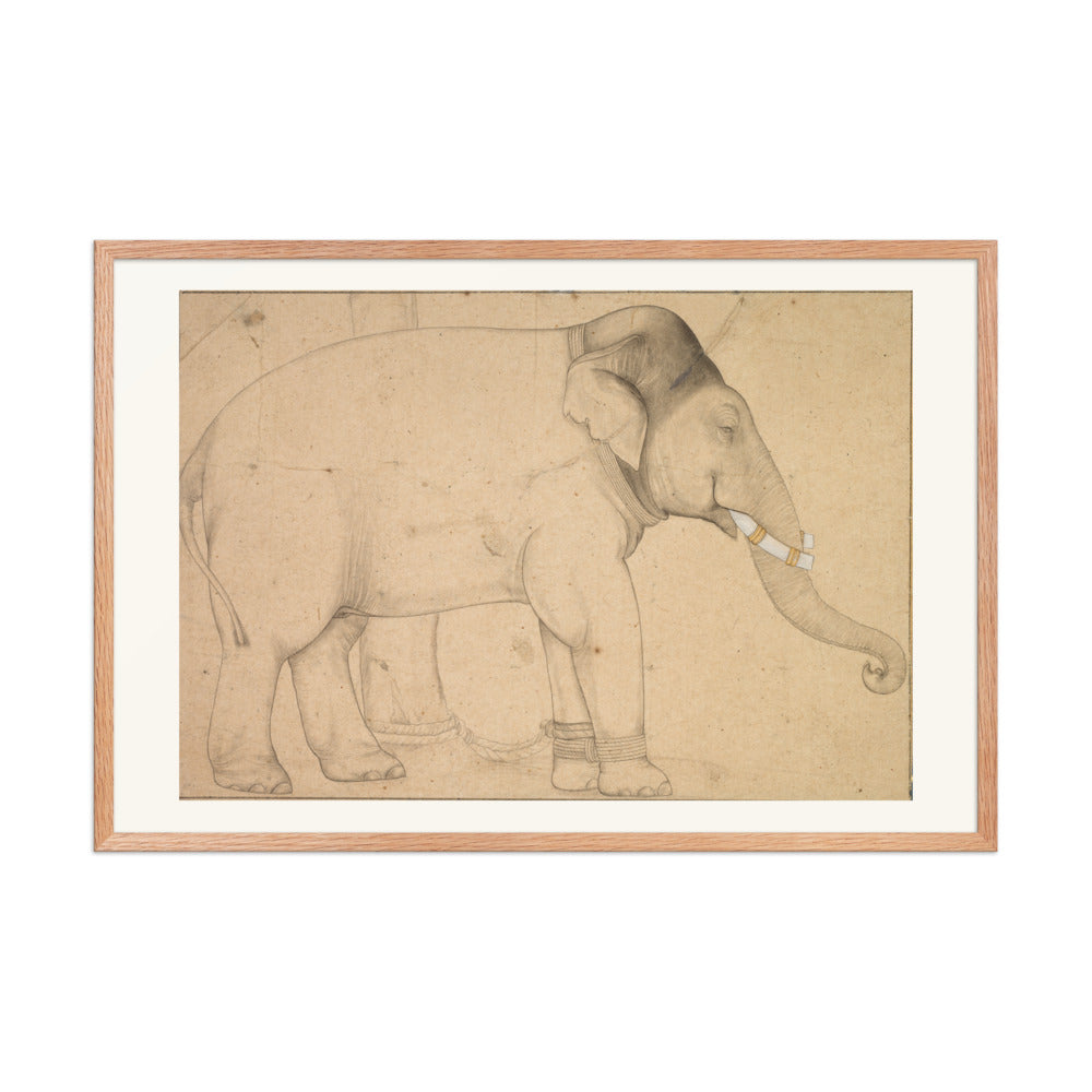 Drawing of an Elephant — view 8