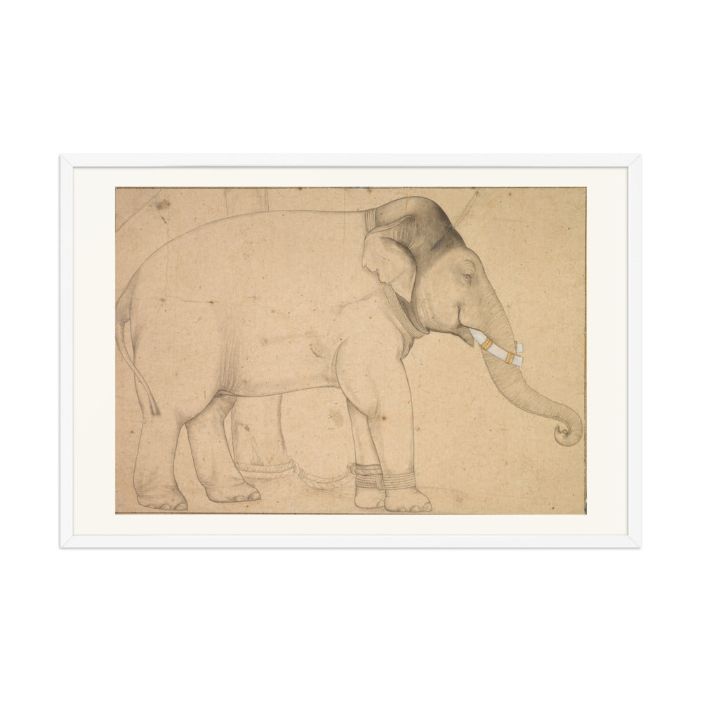 Drawing of an Elephant — view 9