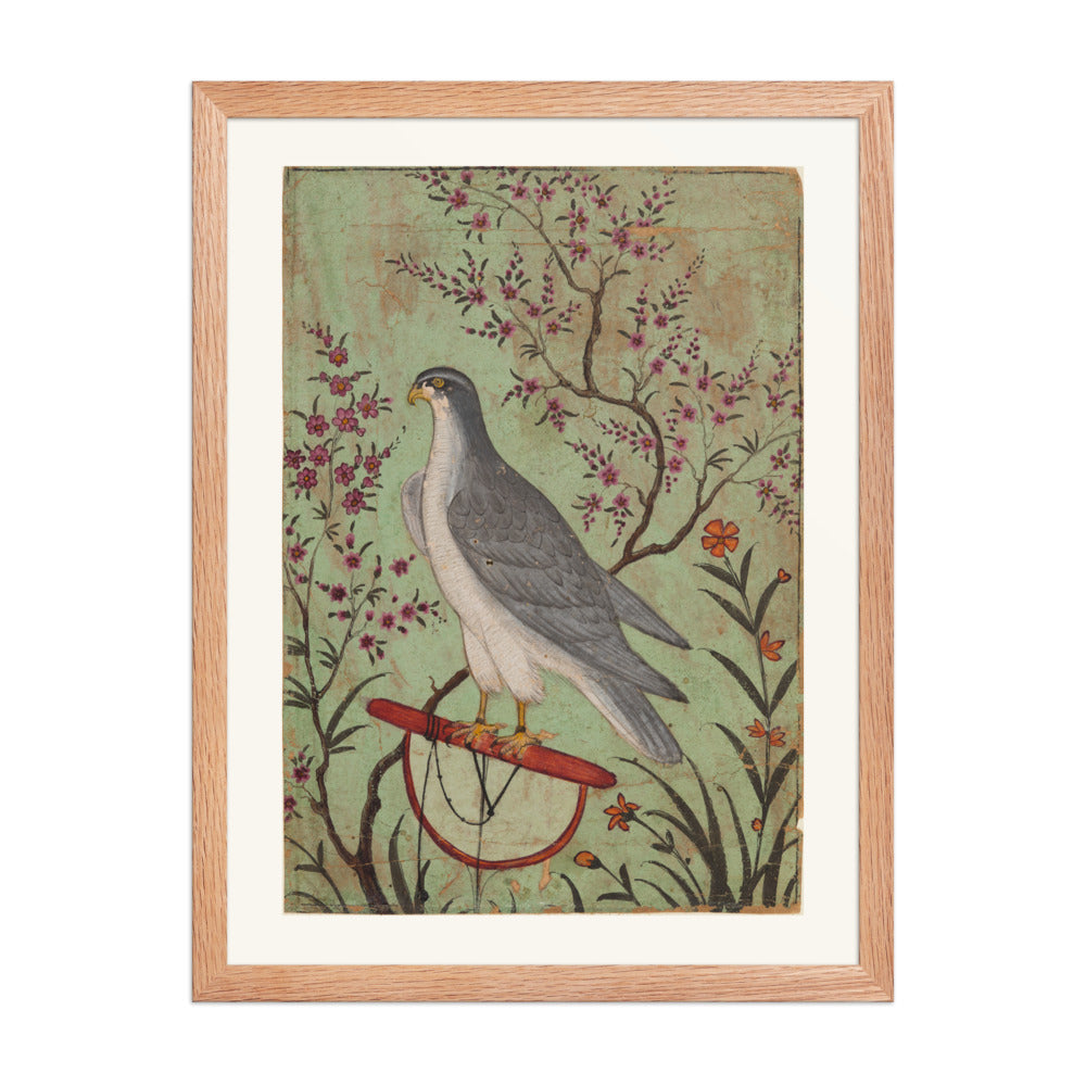 Falcon on a Perch — view 5