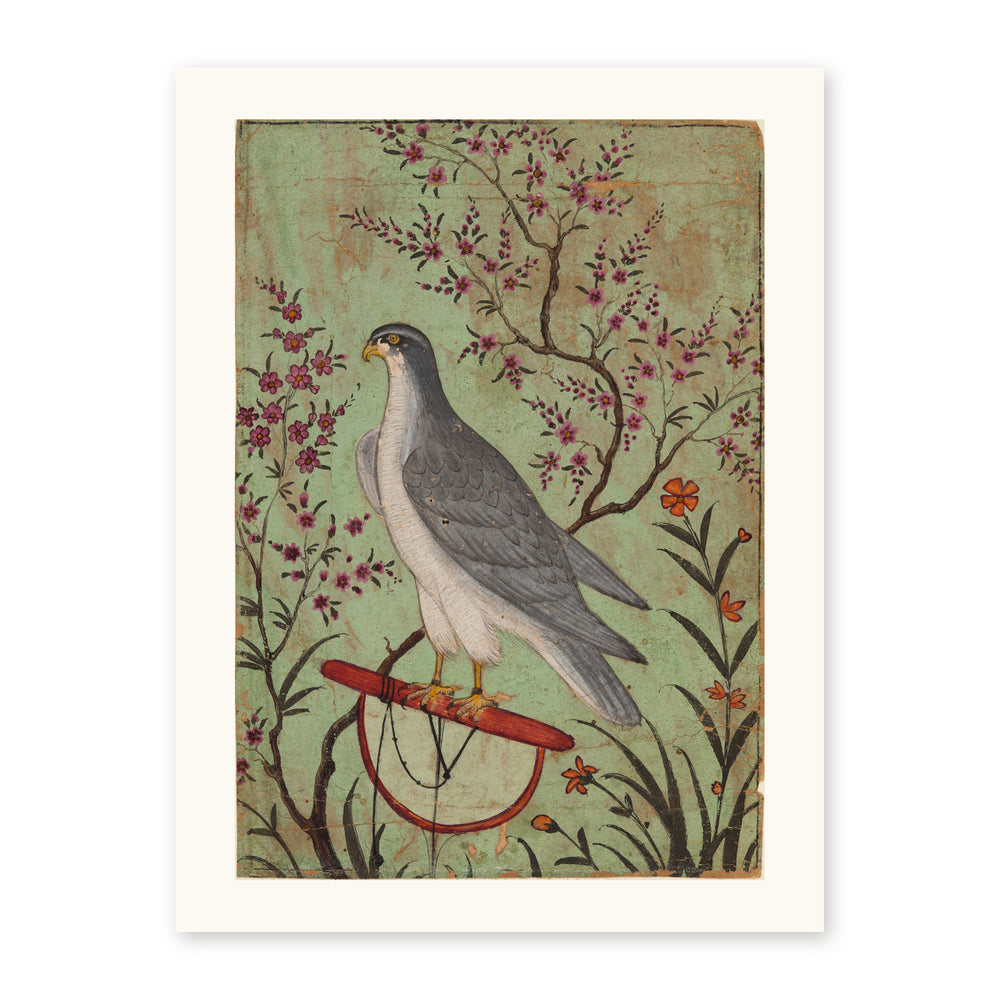 Falcon on a Perch — view 10