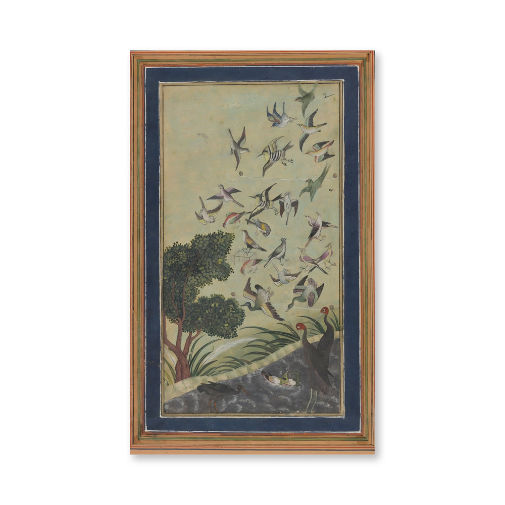 Birds at Baran, possibly — view 4