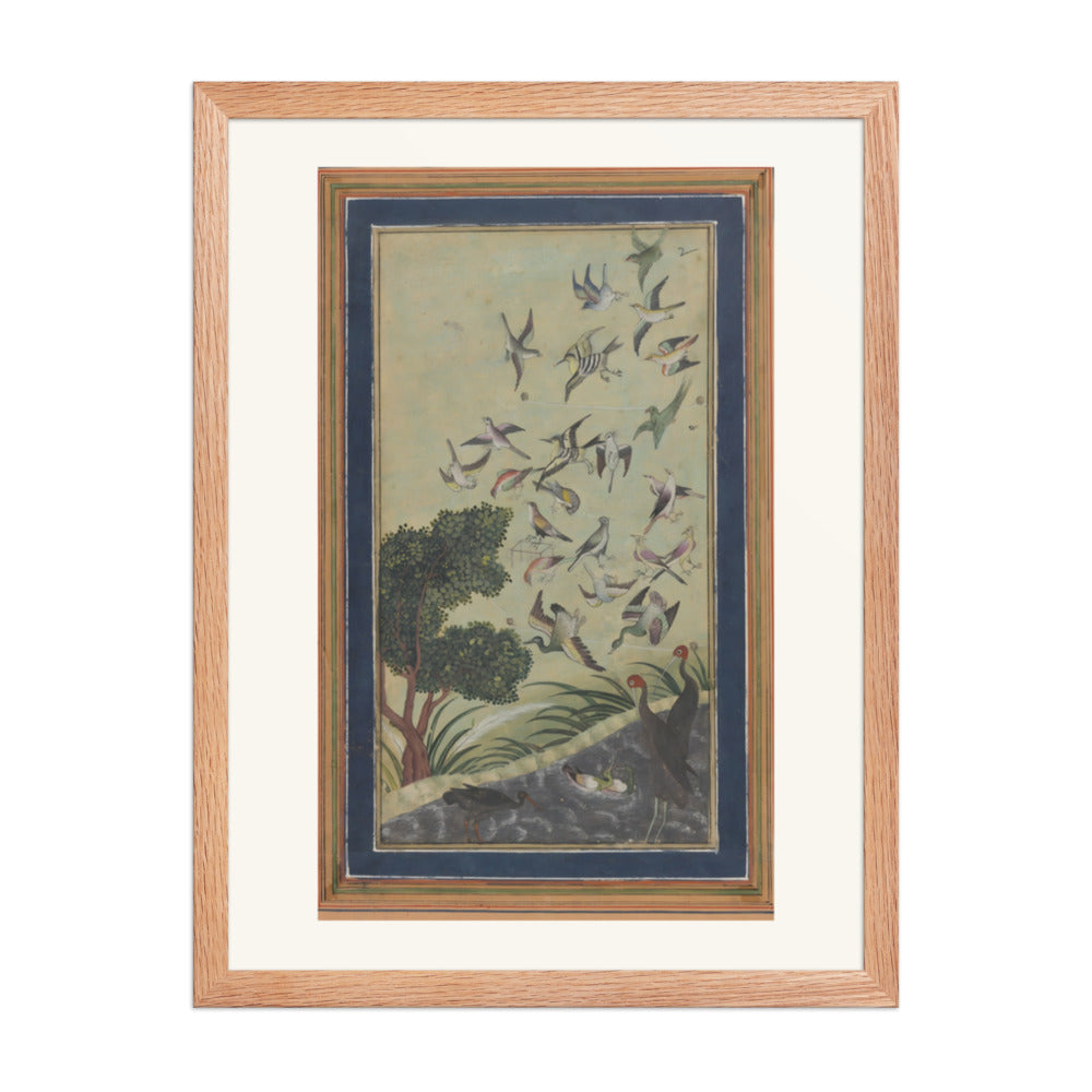 Birds at Baran, possibly — view 2