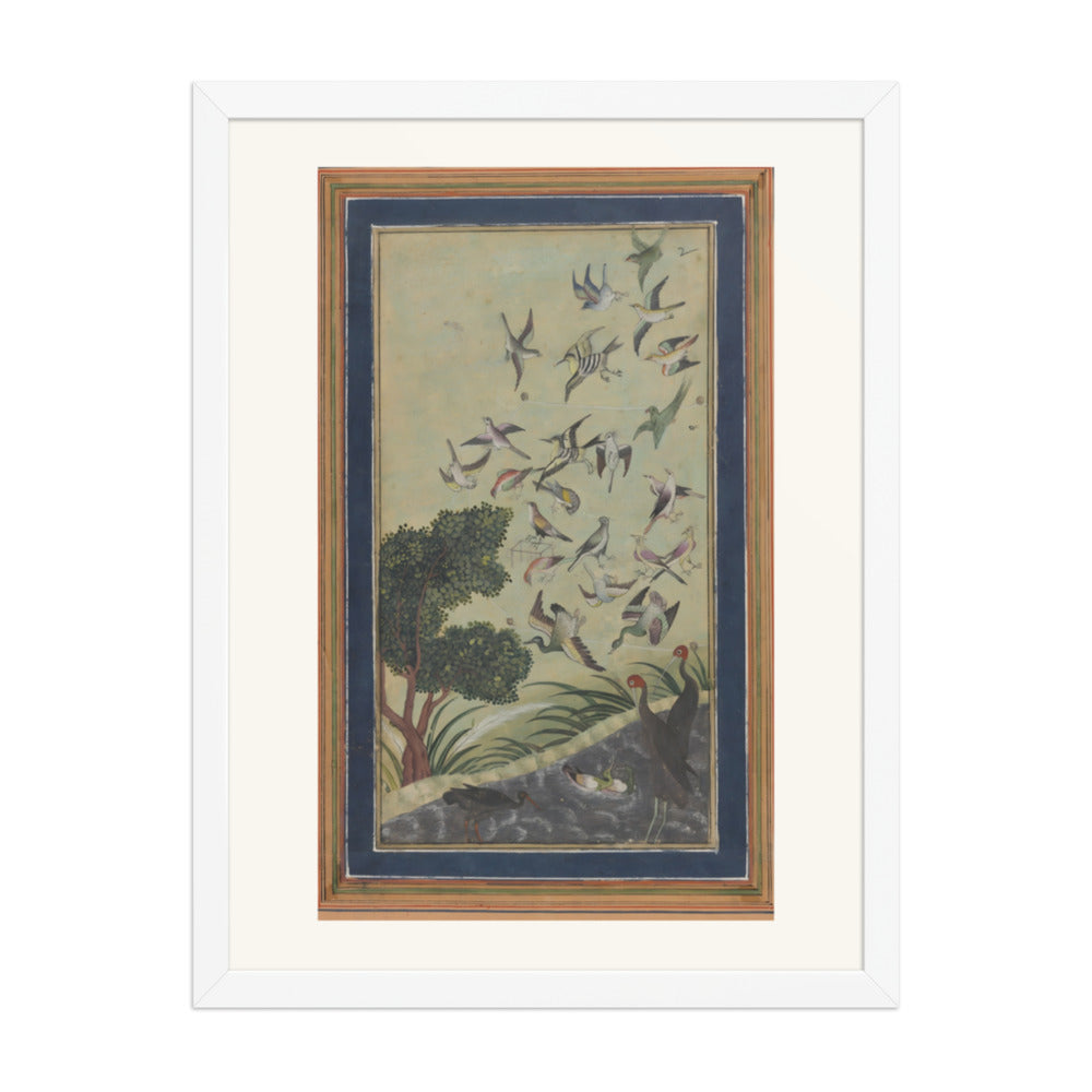Birds at Baran, possibly — view 3