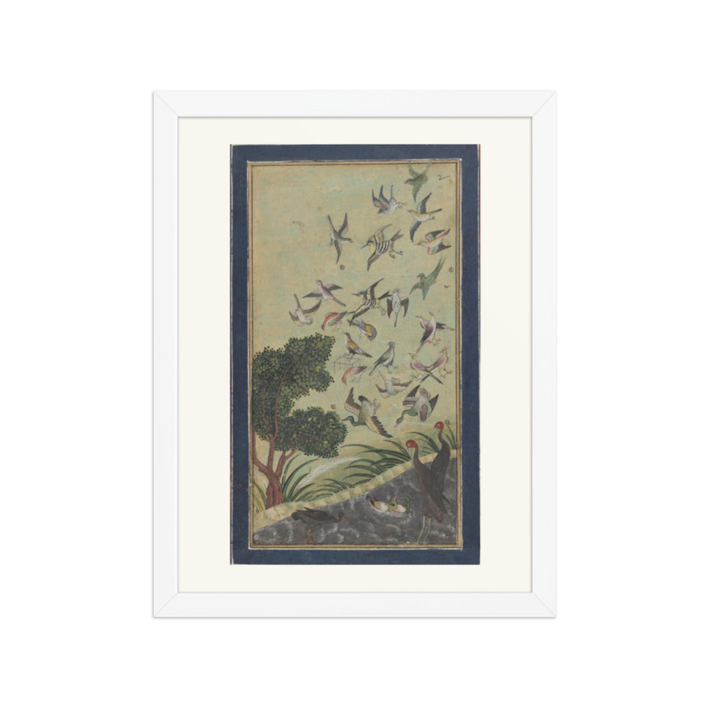 Birds at Baran, possibly — view 3