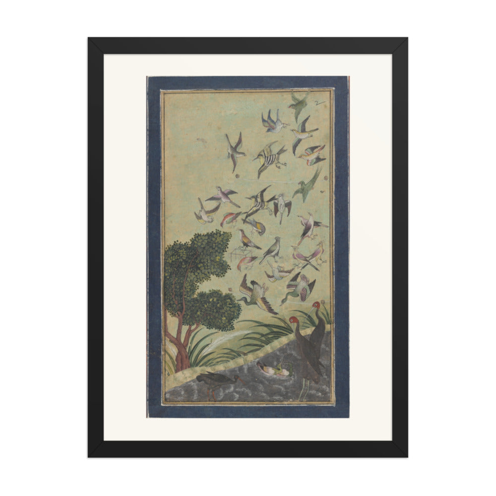 Birds at Baran, possibly — view 4