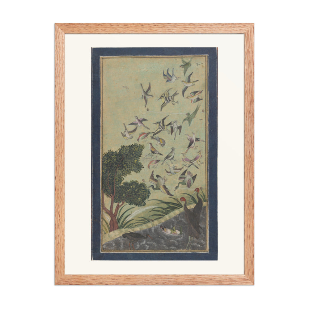 Birds at Baran, possibly — view 5
