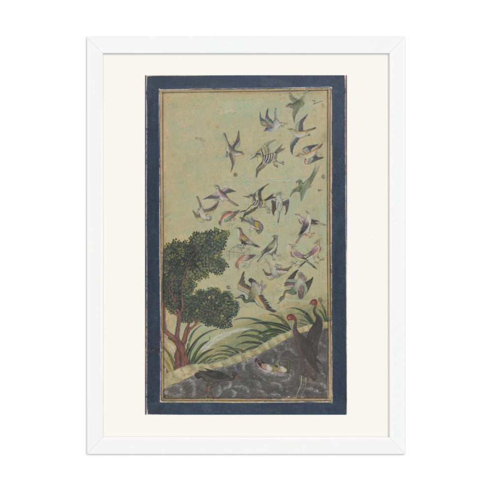 Birds at Baran, possibly — view 6