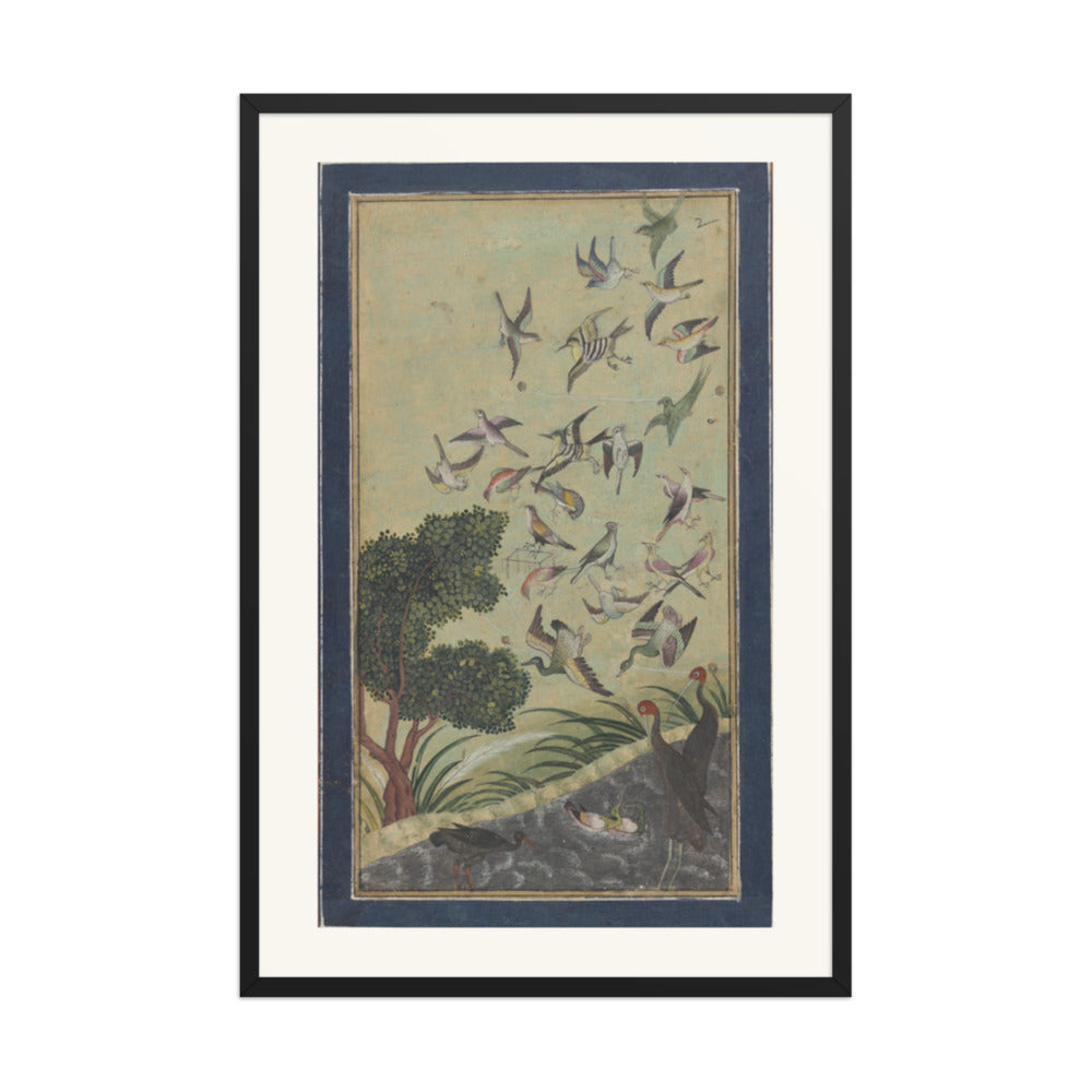 Birds at Baran, possibly — view 7