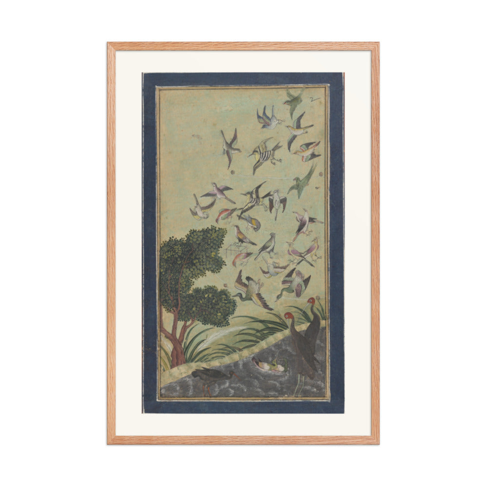 Birds at Baran, possibly — view 8