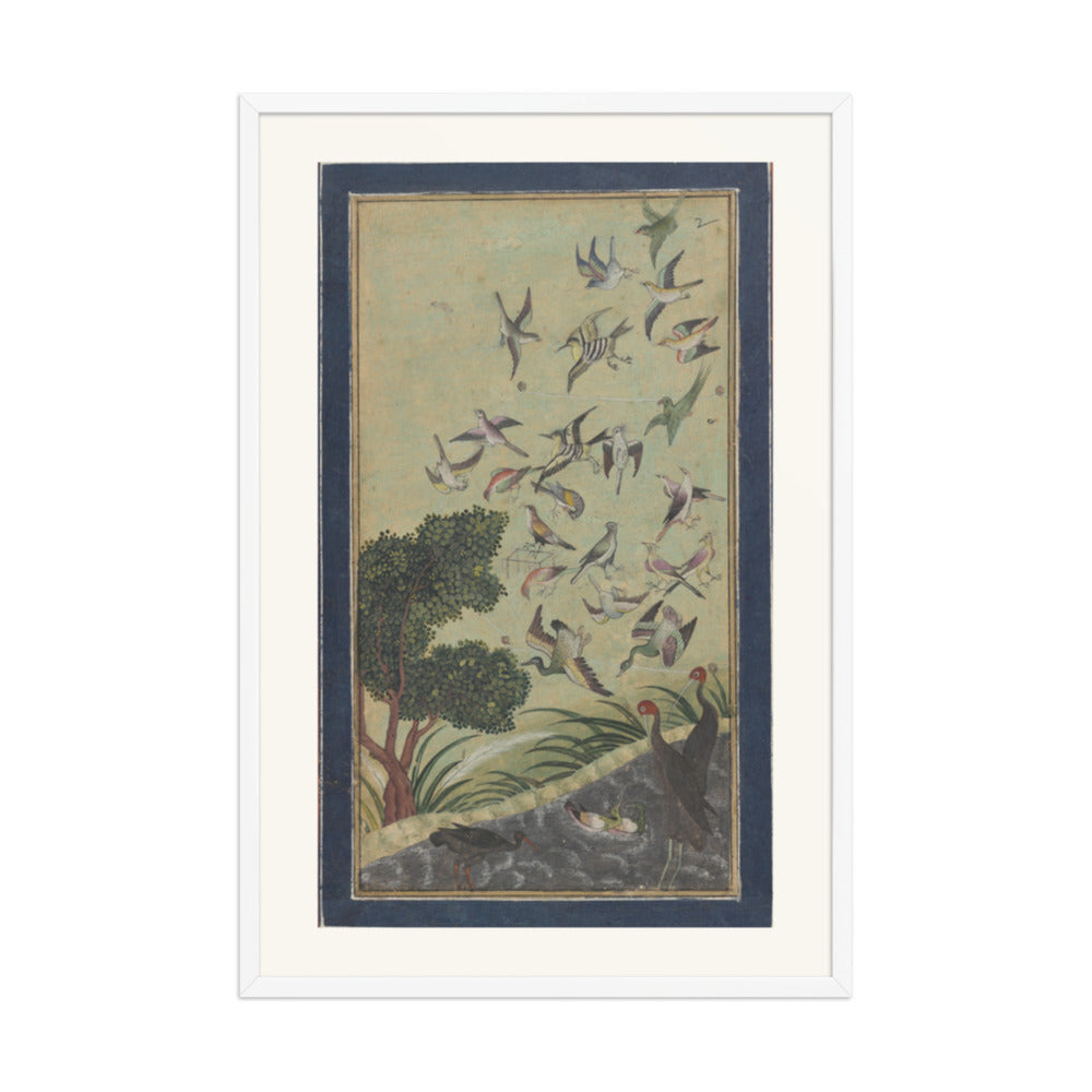 Birds at Baran, possibly — view 9