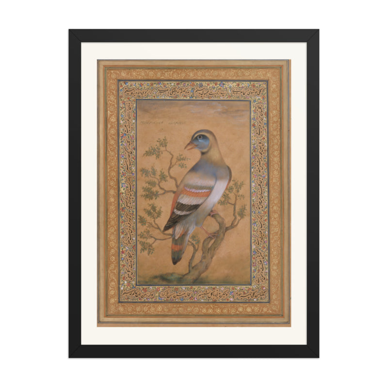 Bird called buqalamum