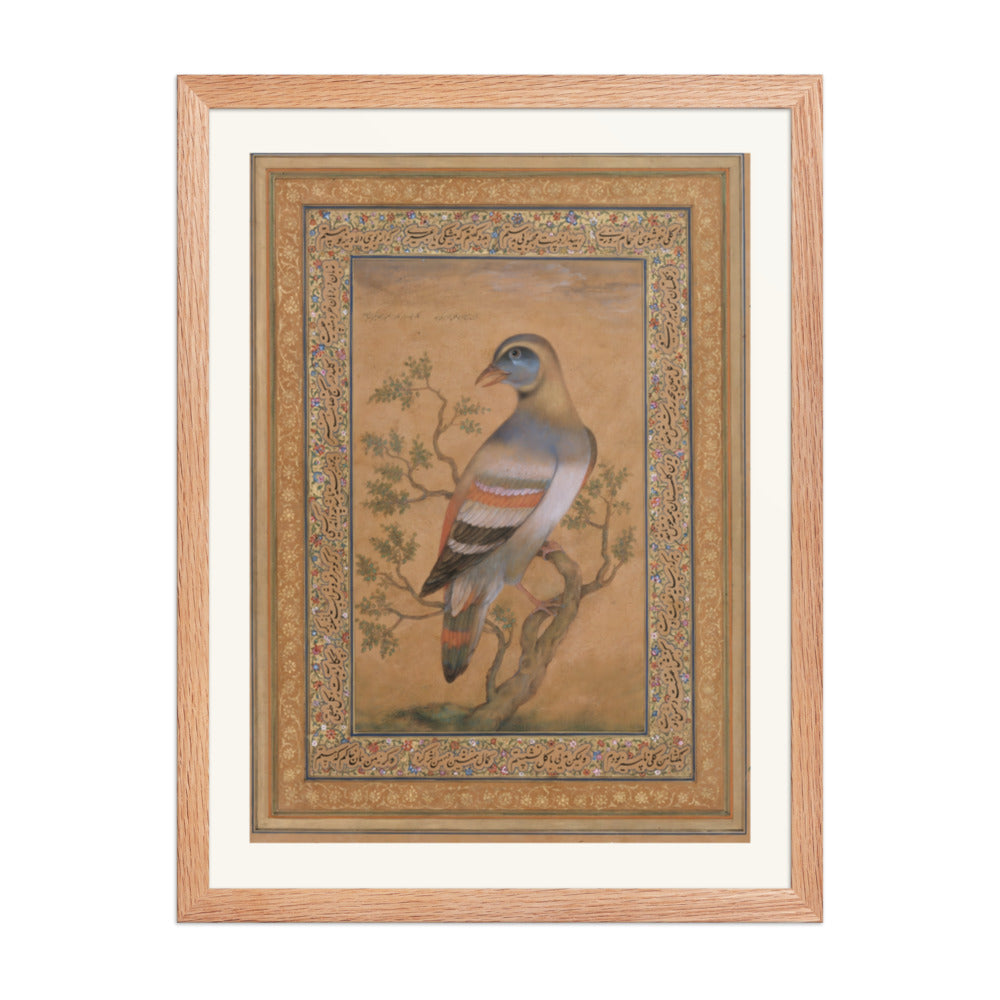 Bird called buqalamum — view 2
