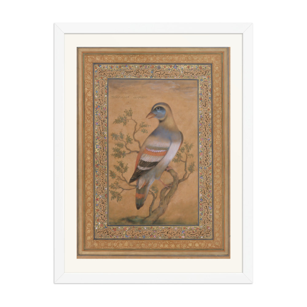 Bird called buqalamum — view 3