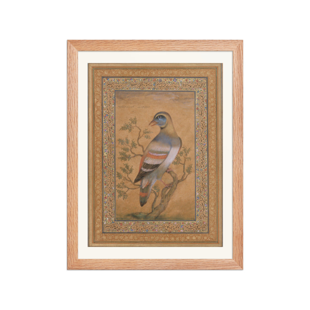 Bird called buqalamum — view 2