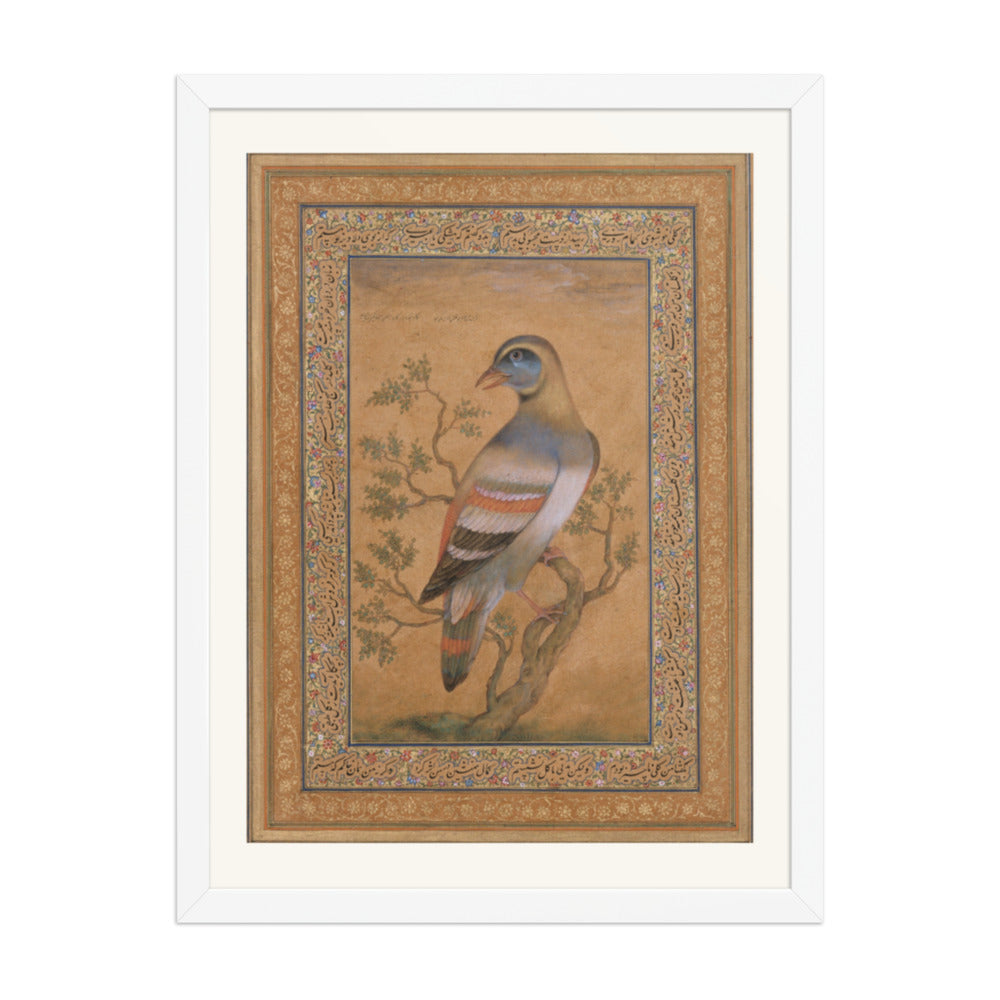 Bird called buqalamum — view 6