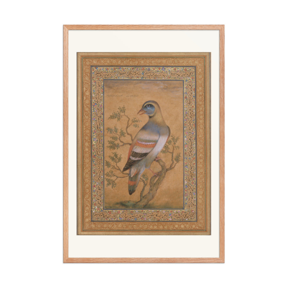 Bird called buqalamum — view 8