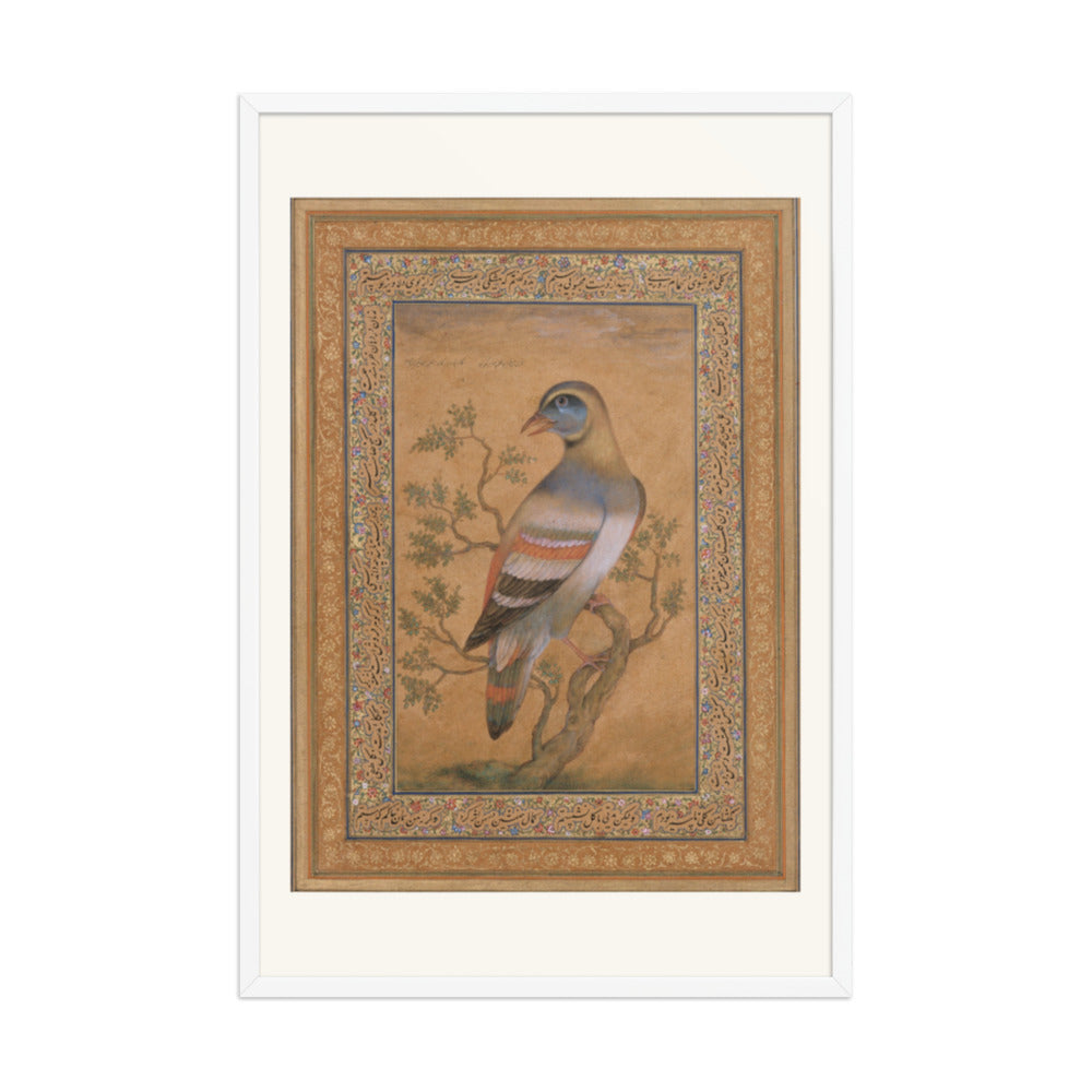 Bird called buqalamum — view 9