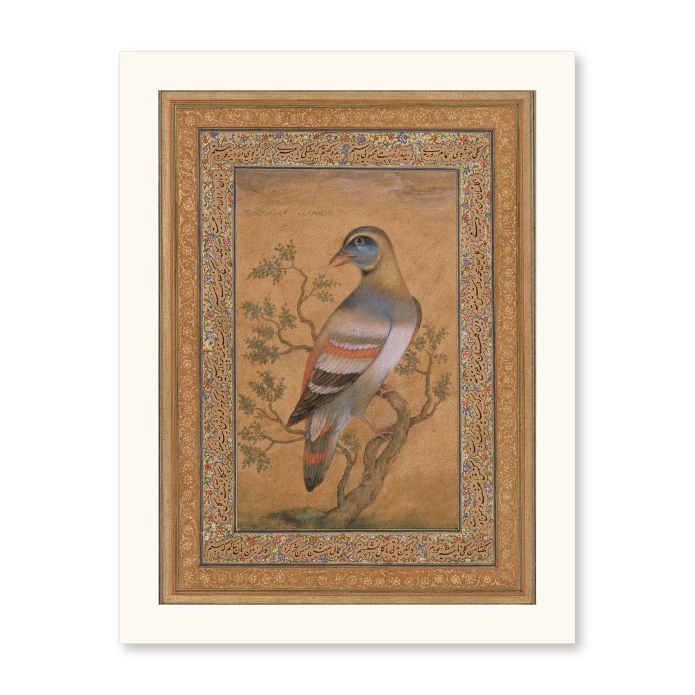 Bird called buqalamum — view 10