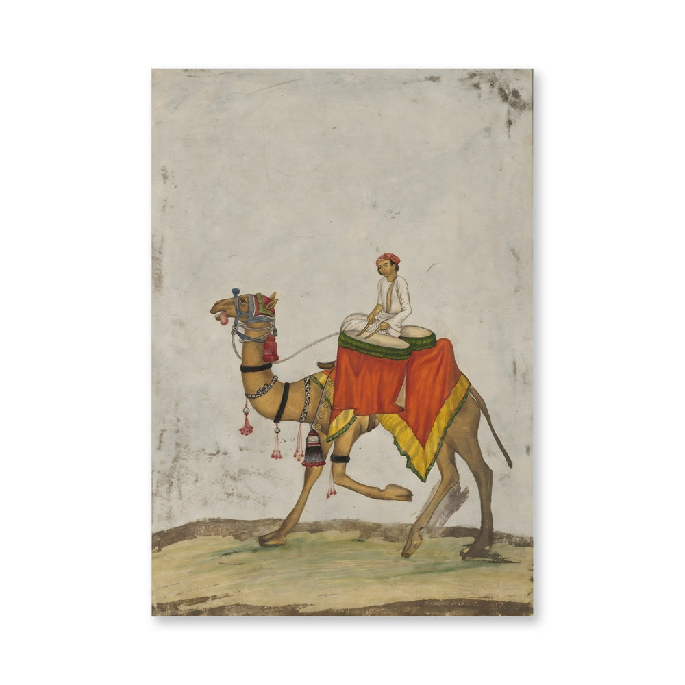 A camel with its rider playing kettle drums — view 4