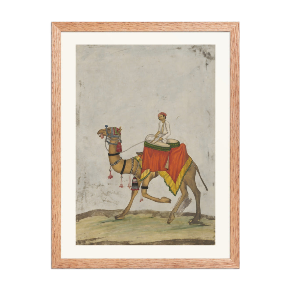A camel with its rider playing kettle drums — view 2