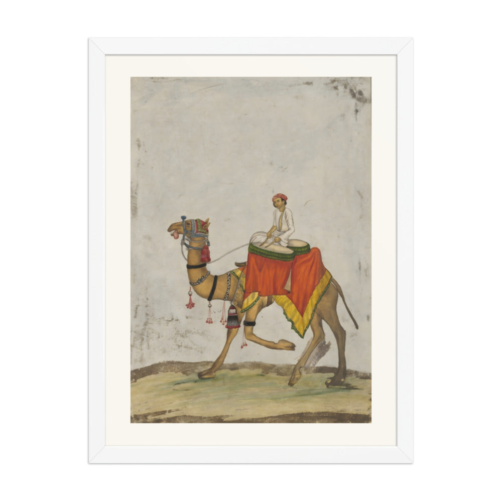 A camel with its rider playing kettle drums — view 3