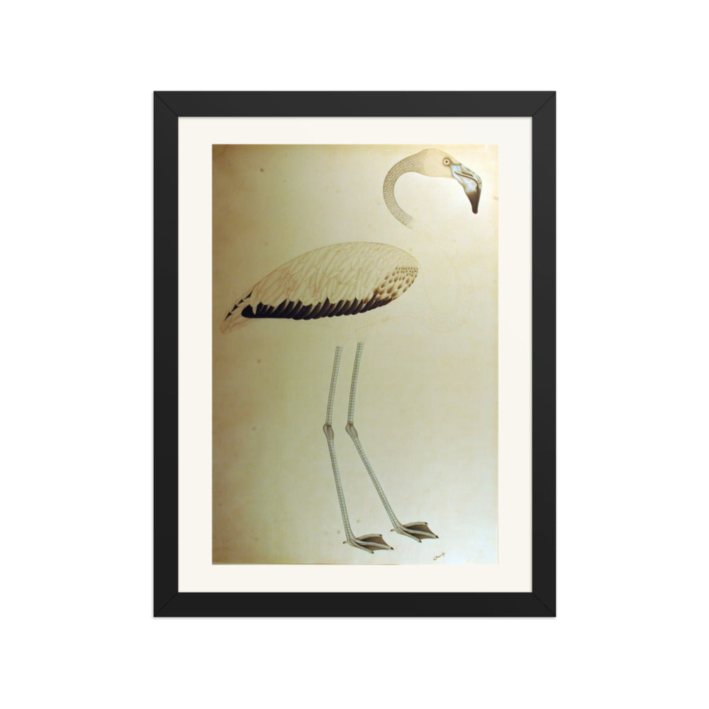 Study of a Flamingo — Restored Indian Court Wall Art — view 2