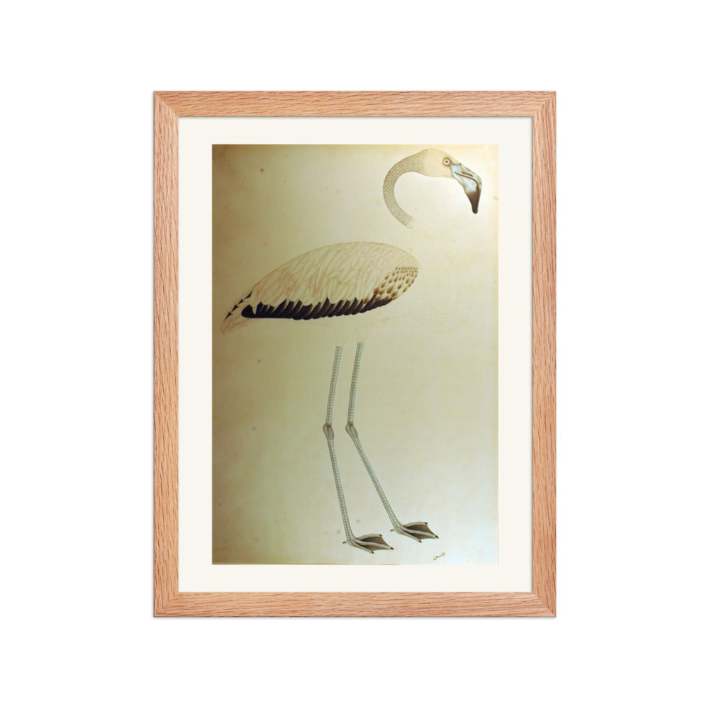 Study of a Flamingo — Restored Indian Court Wall Art — view 4