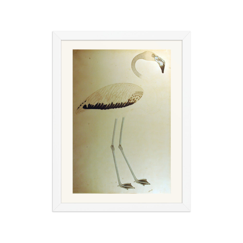 Study of a Flamingo — Restored Indian Court Wall Art — view 6