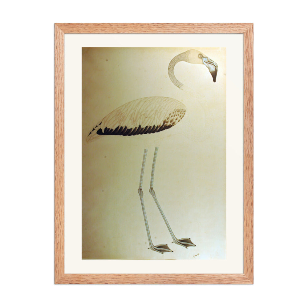 Study of a Flamingo — Restored Indian Court Wall Art — view 3