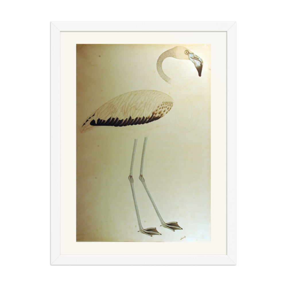 Study of a Flamingo — Restored Indian Court Wall Art — view 5