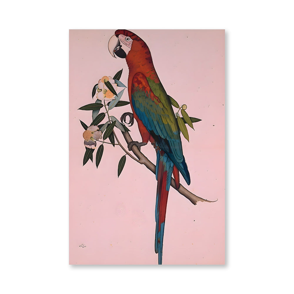 Green-winged Macaw — a Company-School Natural History Study — view 4