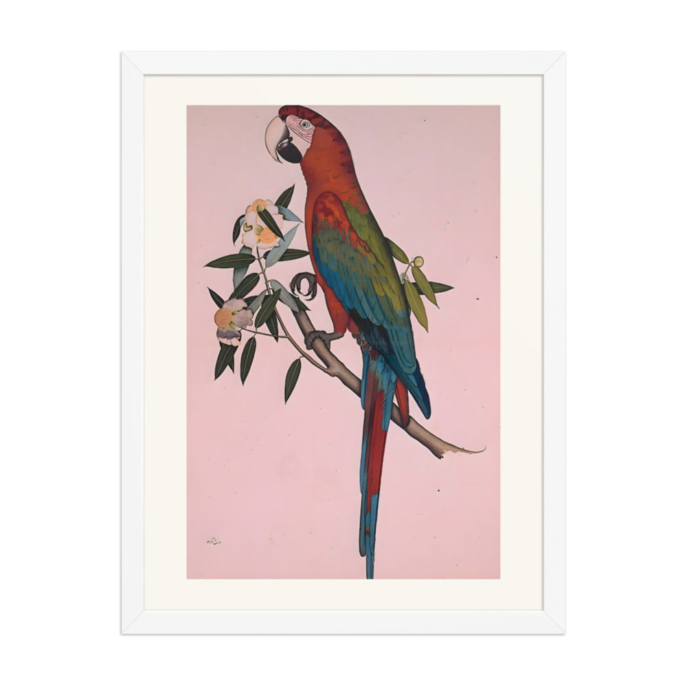 Green-winged Macaw — a Company-School Natural History Study — view 6