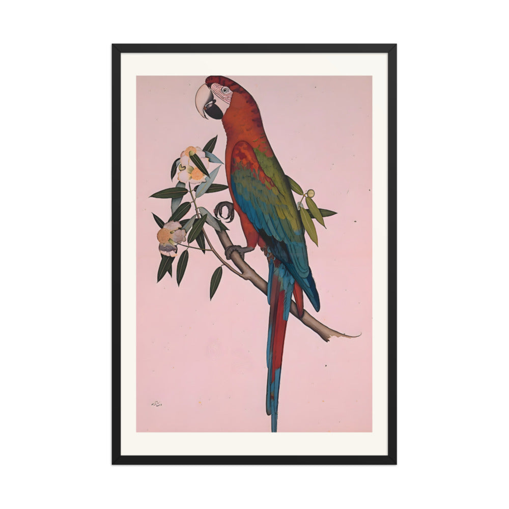 Green-winged Macaw — a Company-School Natural History Study — view 7