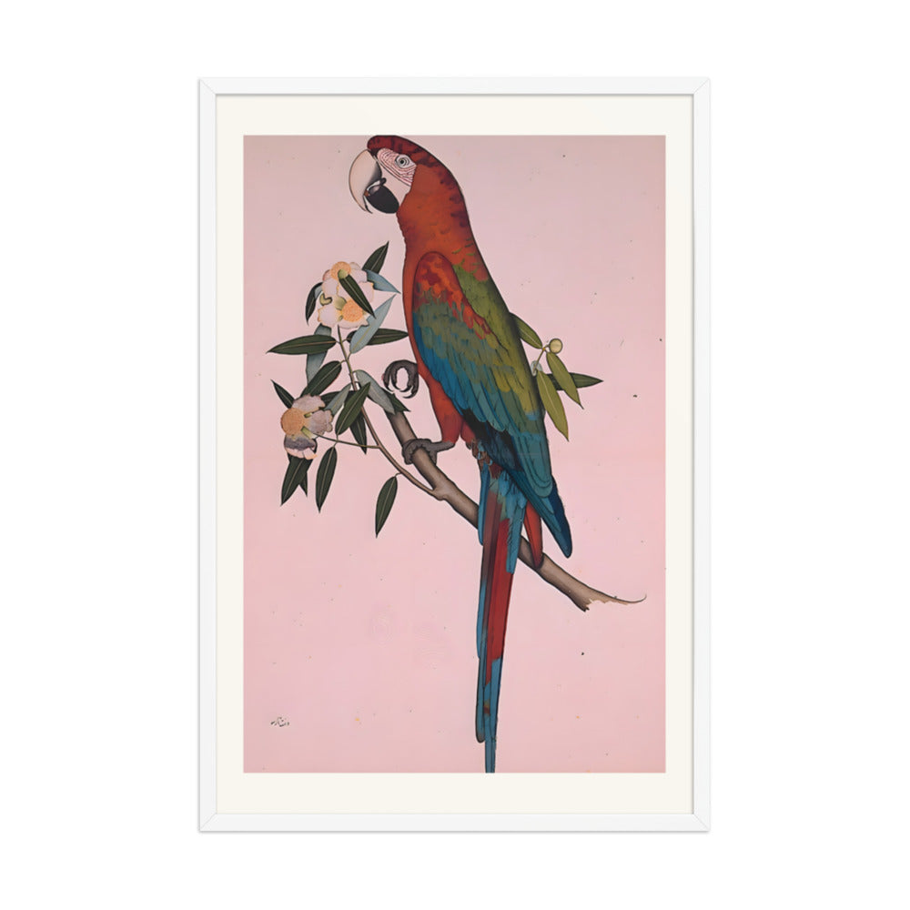 Green-winged Macaw — a Company-School Natural History Study — view 9