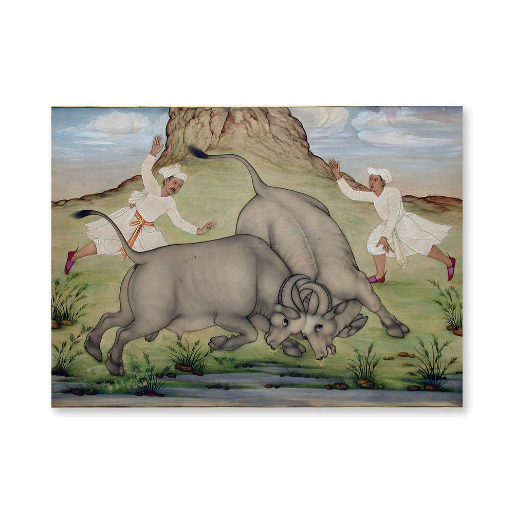 A Fight Between Two Buffalo — view 4
