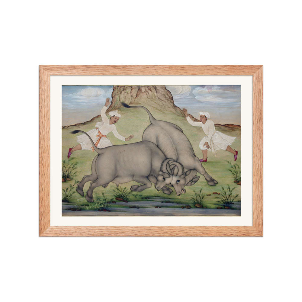 A Fight Between Two Buffalo — view 2