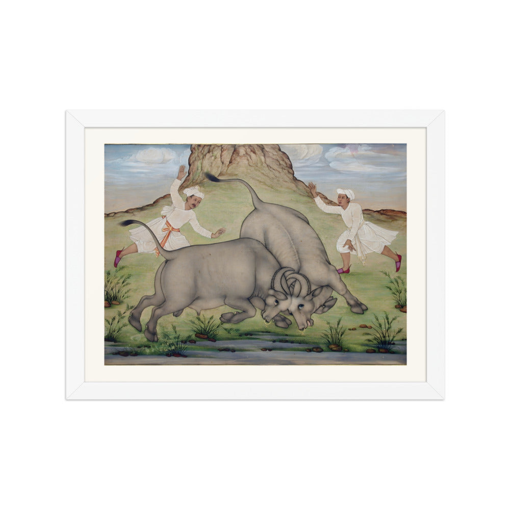 A Fight Between Two Buffalo — view 3
