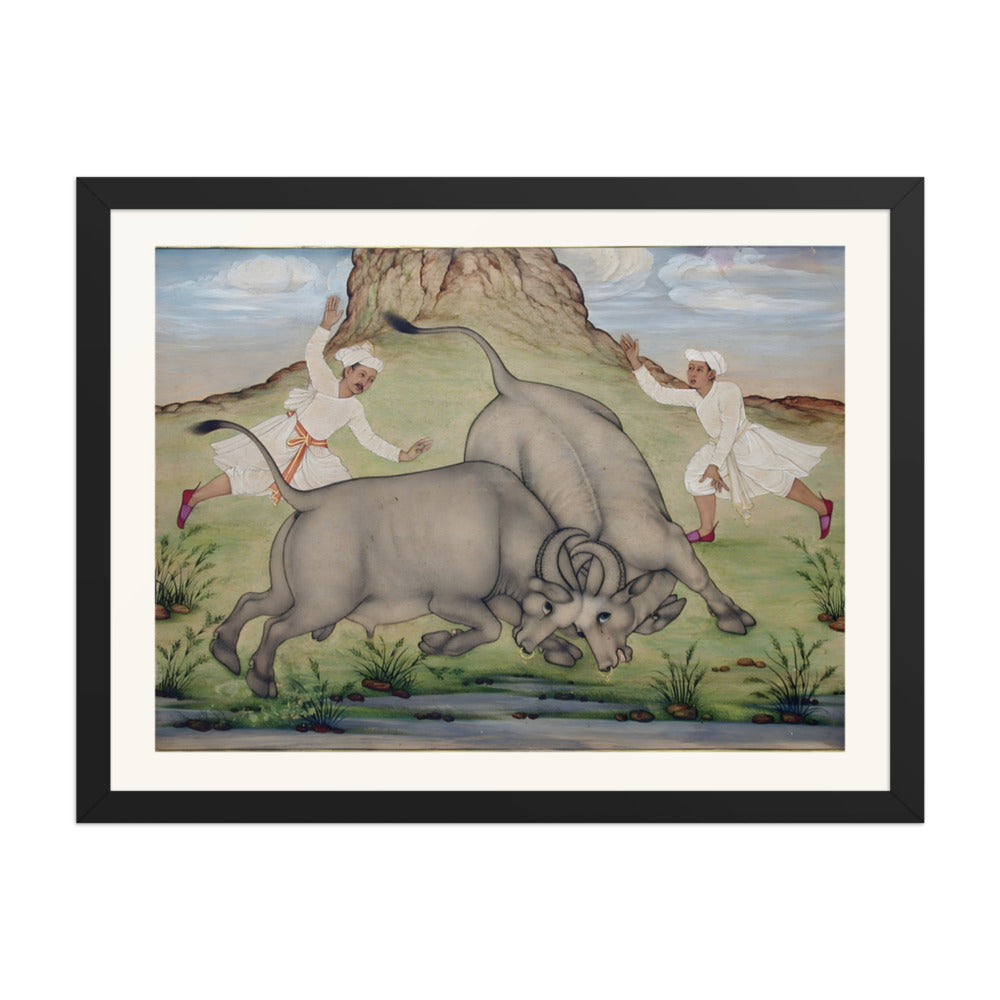 A Fight Between Two Buffalo — view 4