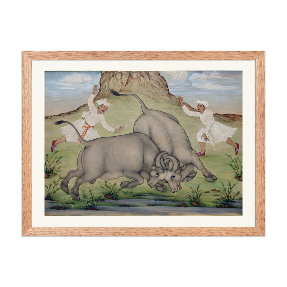 A Fight Between Two Buffalo — view 5