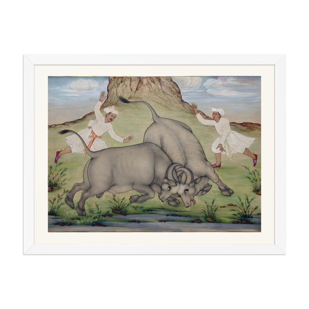 A Fight Between Two Buffalo — view 6