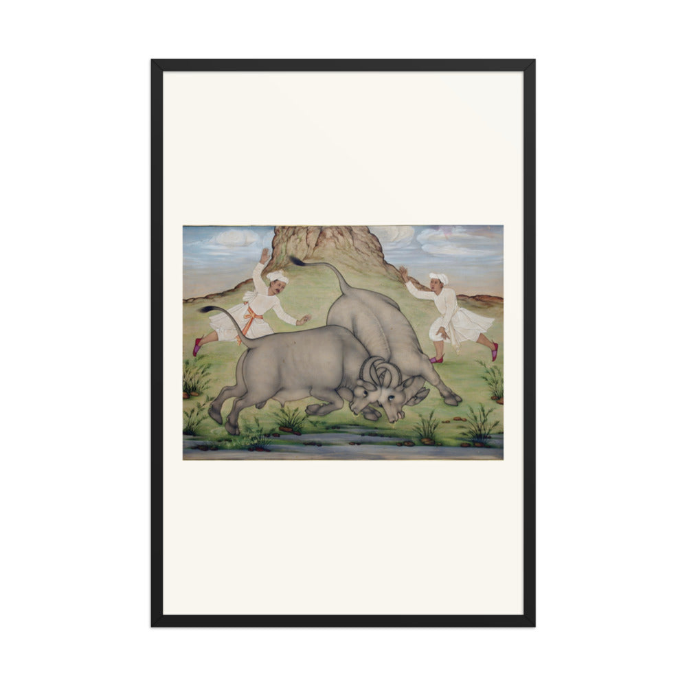 A Fight Between Two Buffalo — view 7