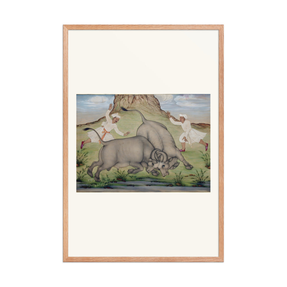 A Fight Between Two Buffalo — view 8
